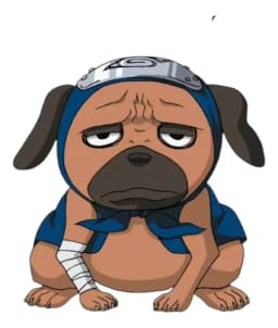 Pakkun